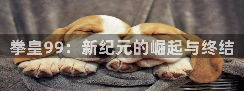 歪歪汗汗漫画在线看：拳皇99：新纪元的崛起与终结