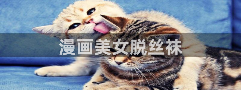 汗汗漫画 漫画
