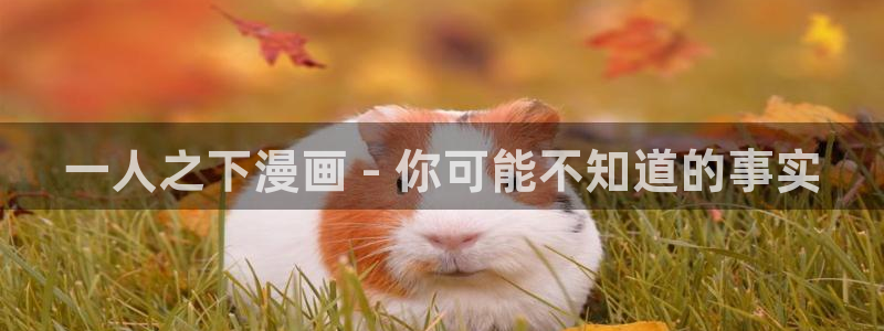 汗汗漫画……歪歪漫画：一人之下漫画 - 你可能不知道的事实