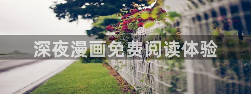 韩国羞羞汗汗漫画：深夜漫画免费阅读体验