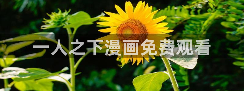 嘿咻漫画～汗汗漫画入口：一人之下漫画免费观看