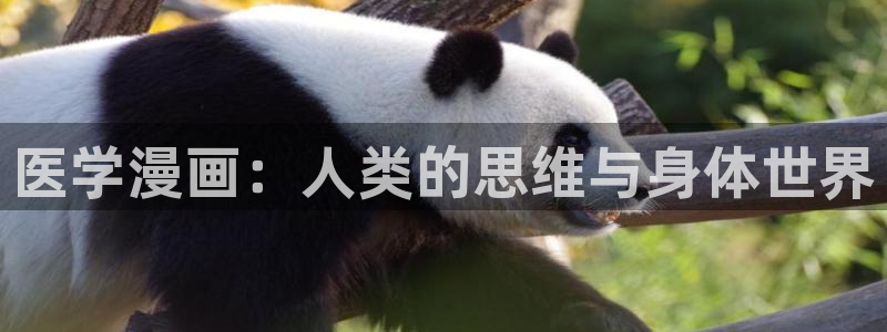 汗汗漫画主页面