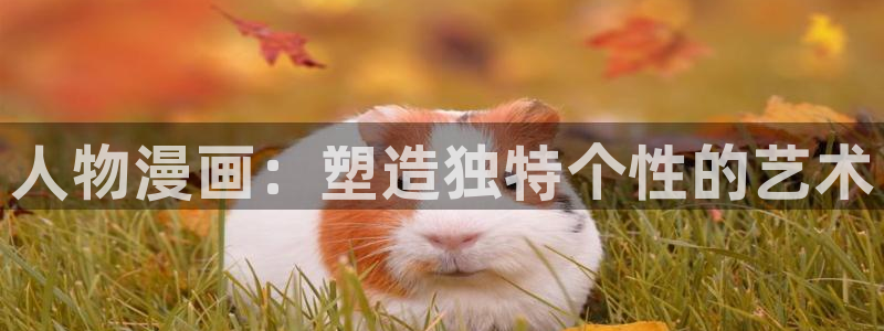 汗汗漫画在线进入入口