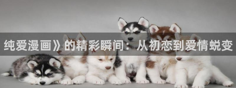 汗汗漫画家教老师
