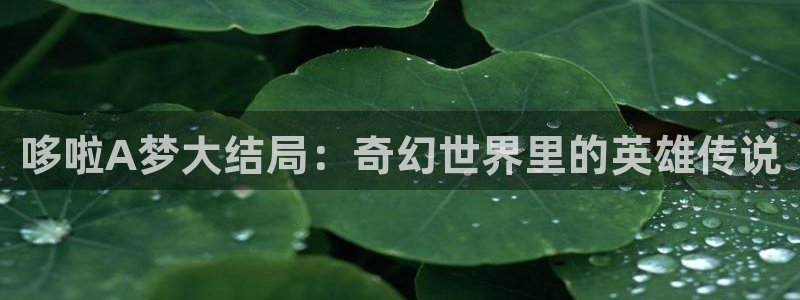 汗汗漫画弱点：哆啦A梦大结局：奇幻世界里的英雄传说